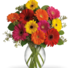 Bouquet di gerbere colorate