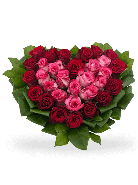 cuore rose rosse e rosa