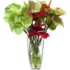 bouquet di anthurium