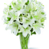 bouquet di gigli bianchi