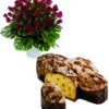 Colomba e 50 rose