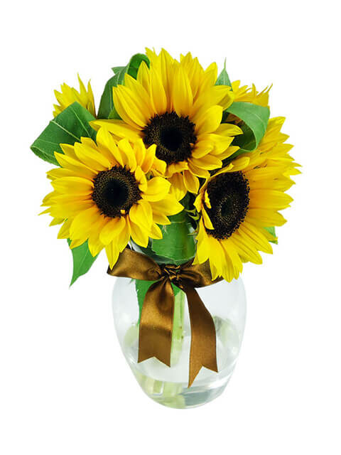 bouquet di tre girasoli