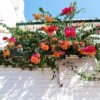 balcone fiorito