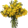 bouquet di mimosa 8 marzo