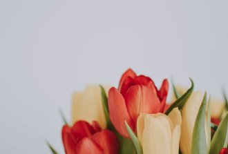 cura dei fiori recisi